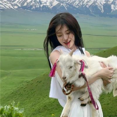 翻滚吧!阿信